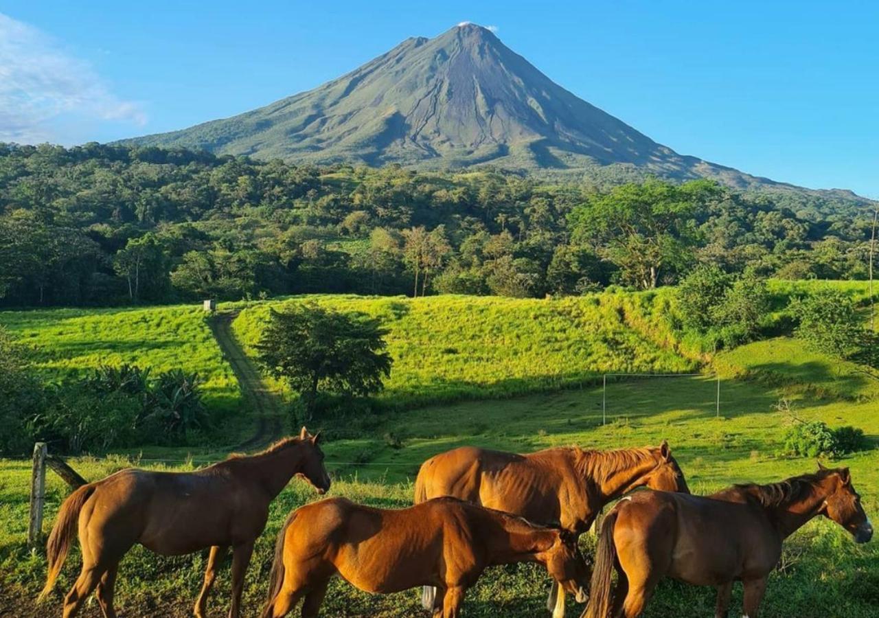 Montana De Fuego All Inclusive La Fortuna Eksteriør billede