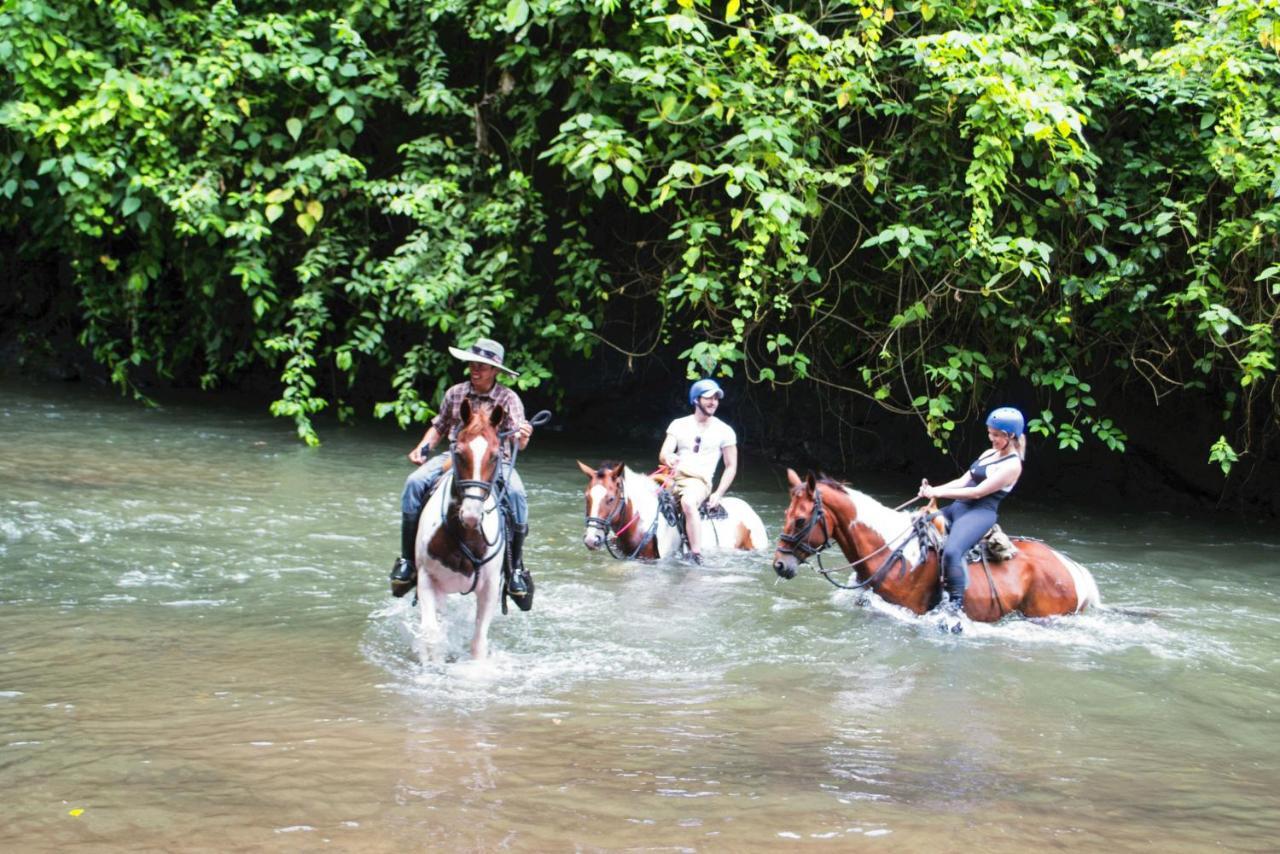 Montana De Fuego All Inclusive La Fortuna Eksteriør billede